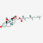 Compound Structure